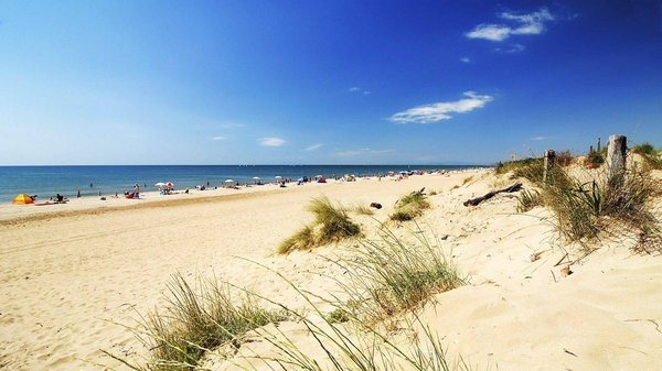 Explorer les campings dans les Landes en France