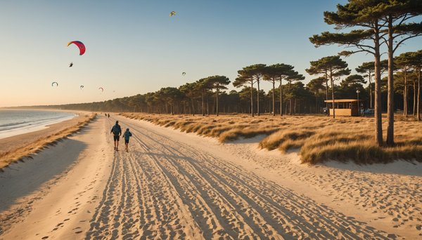 Découvrir les meilleures activités touristiques à faire à la Teste de Buch